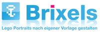 Brixels Logo with claim